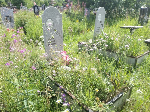 Шитова Галина Петровна