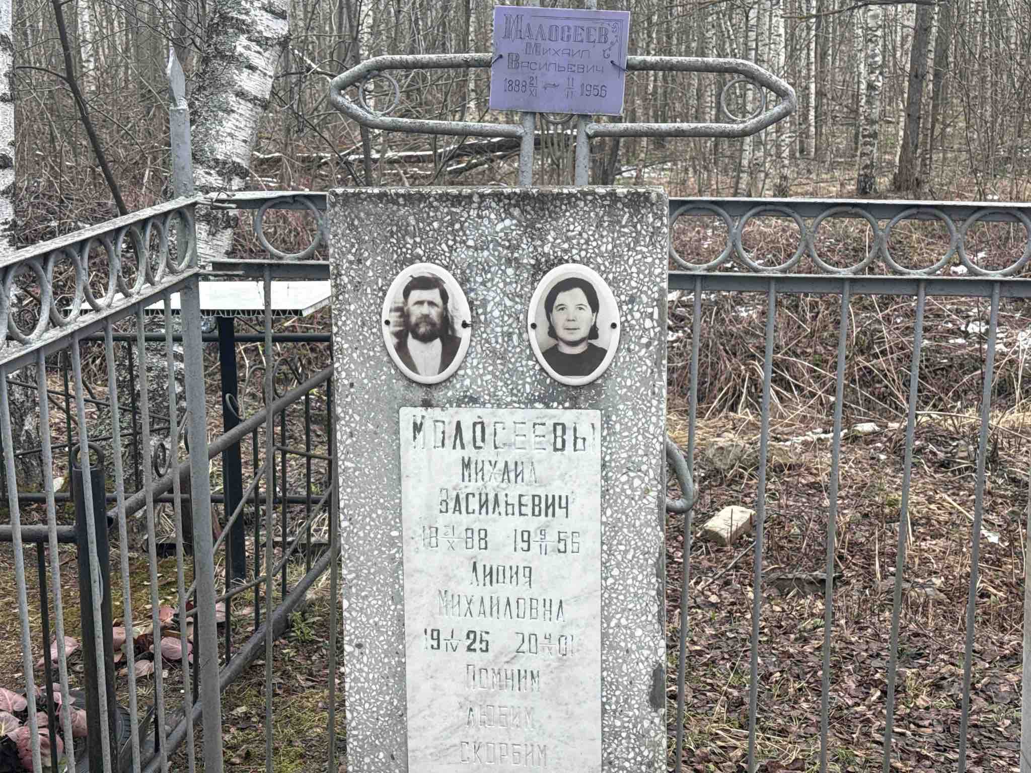 Молосеева Лидия Михайловна