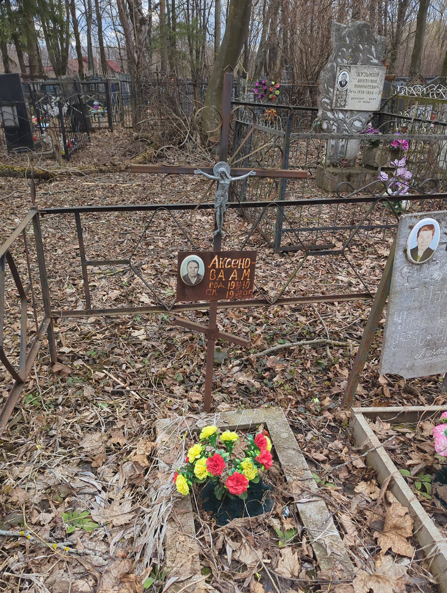 Аксенова А. М.