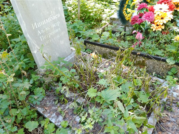 Ишимбаев Александр Петрович
