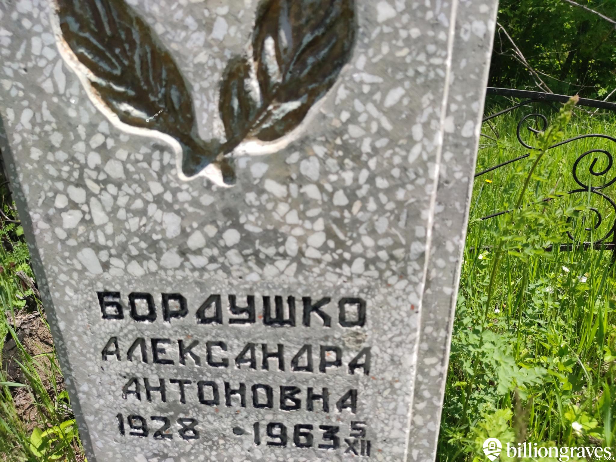 Бордушко Александра Антоновна
