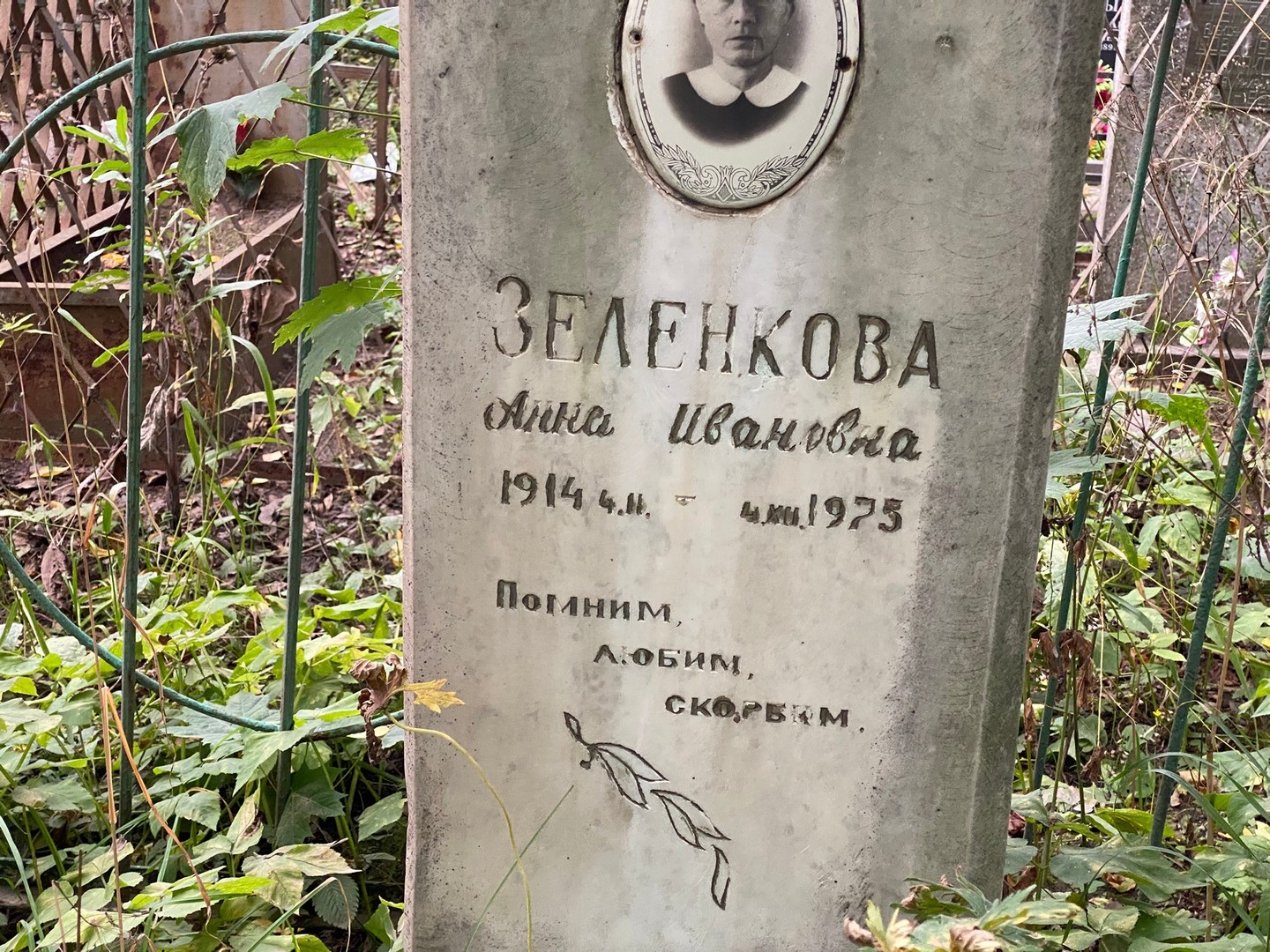 Зеленкова