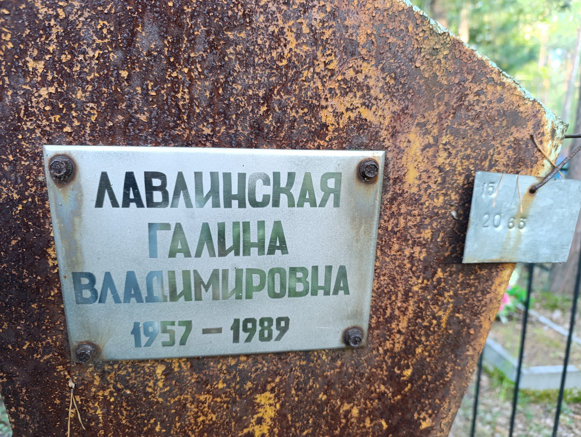 Лавлинская Галина Владимировна