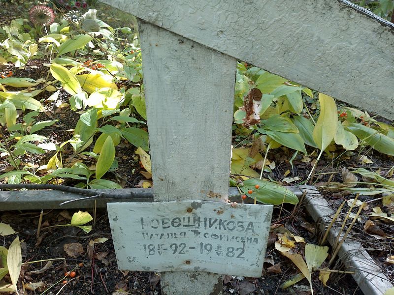 Ковешникова