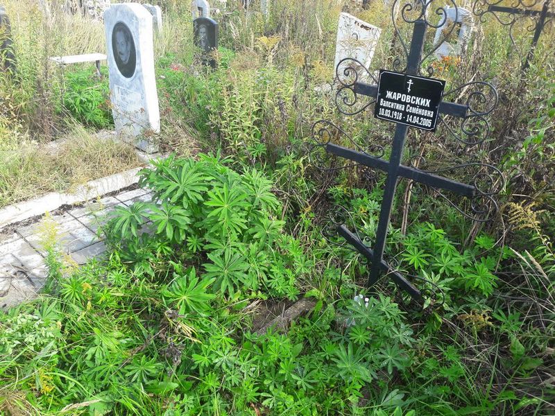 Жаровских Валентина Семеновна