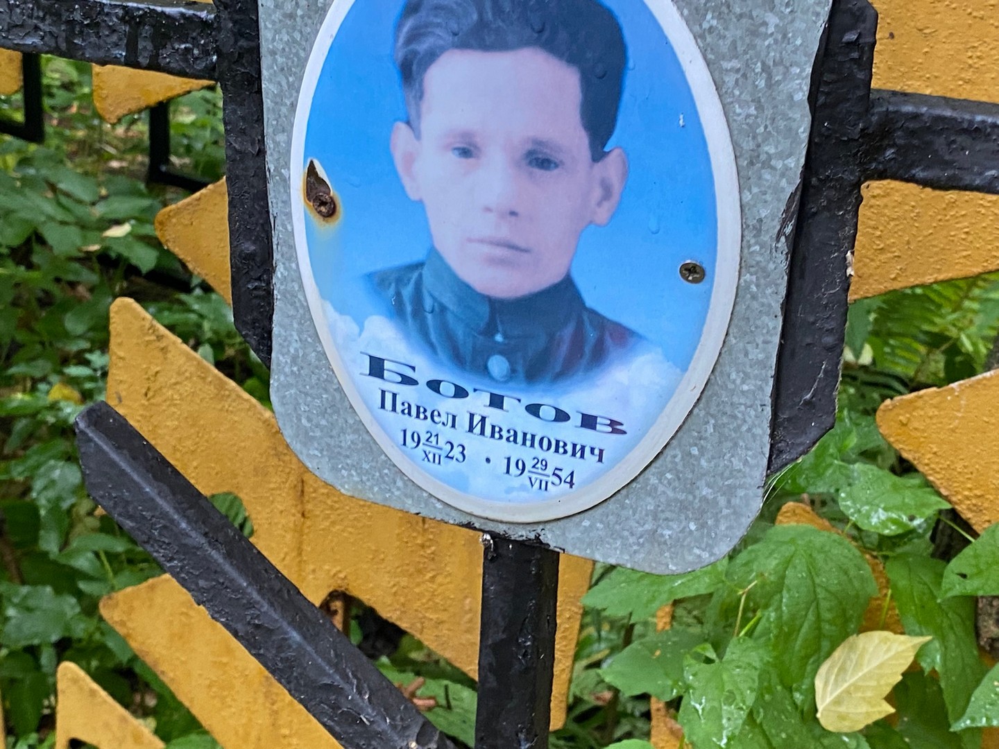 Ботов