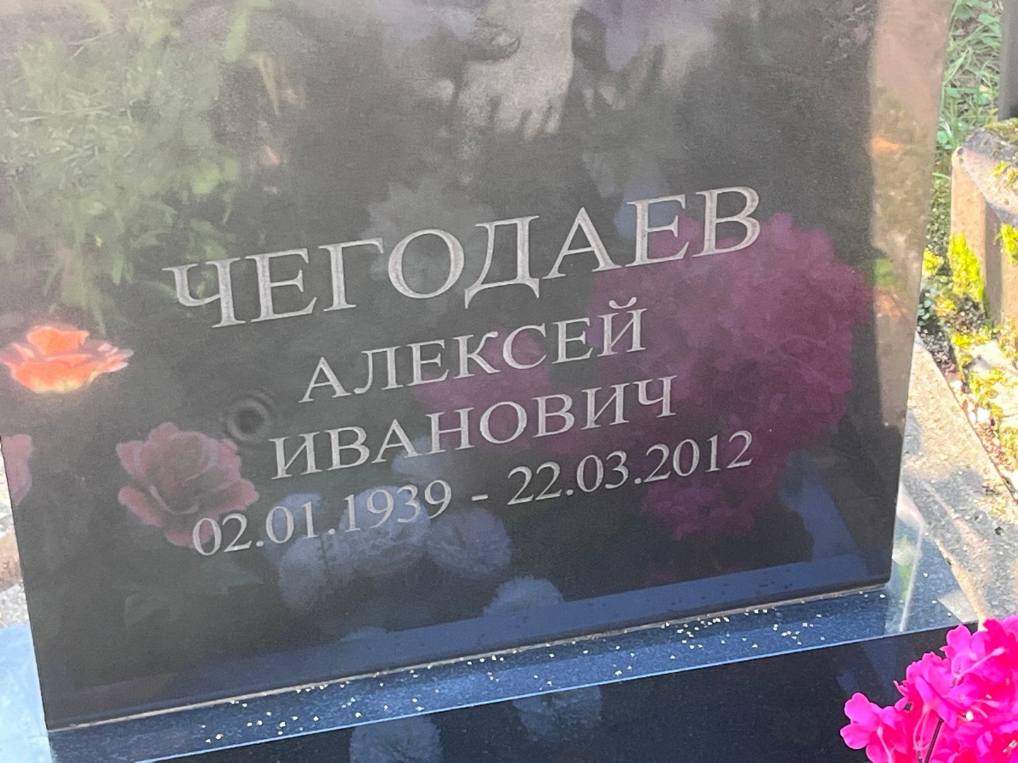 Чегодаев