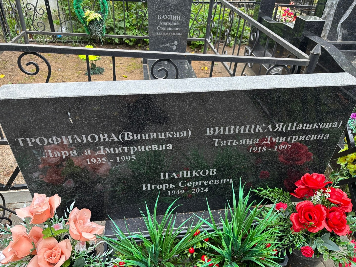 (Виницкая) Трофимова Лариса