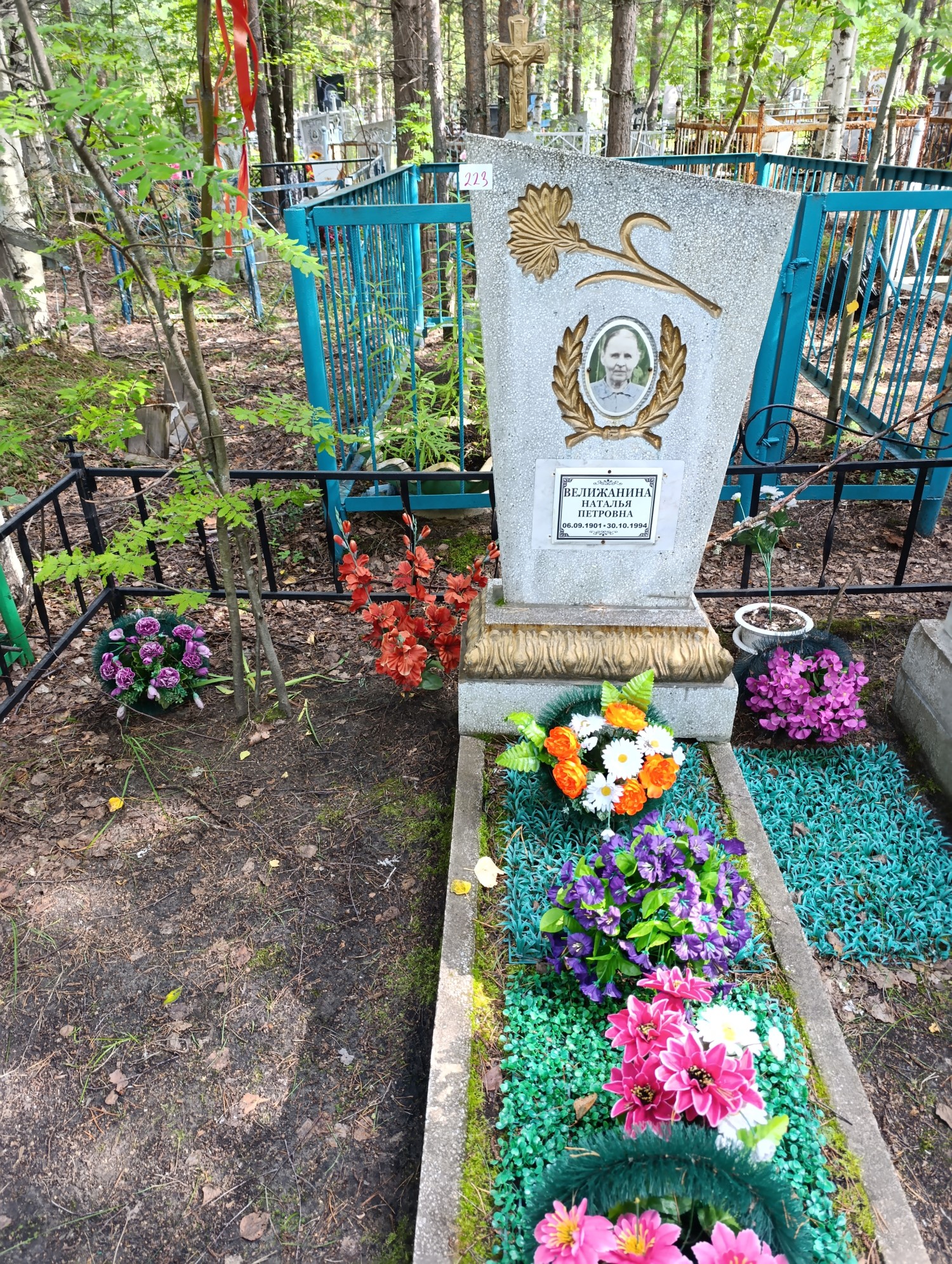 Велижанина Наталья Петровна