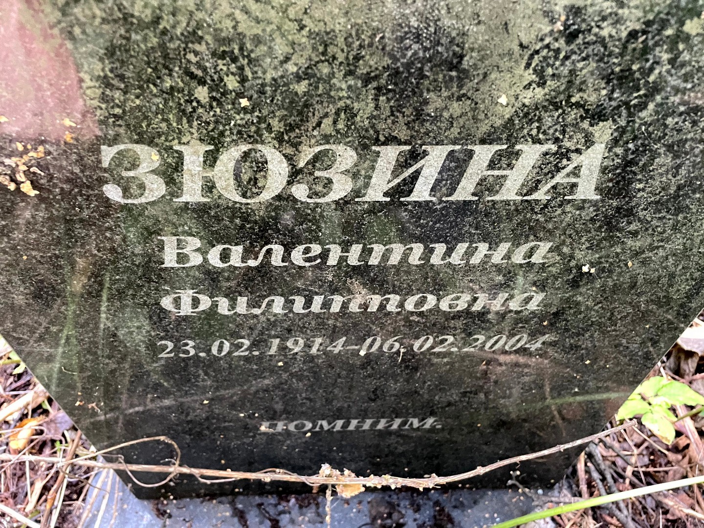 Зюзина