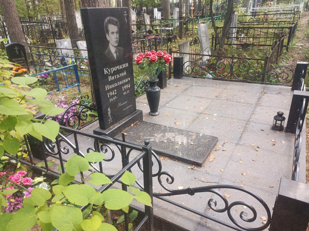 Курочкин Виталий Николаевич