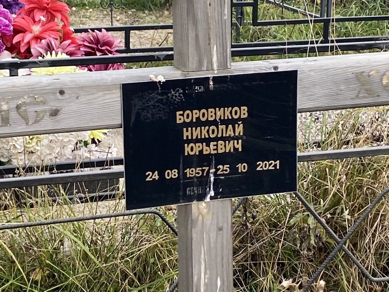Боровиков