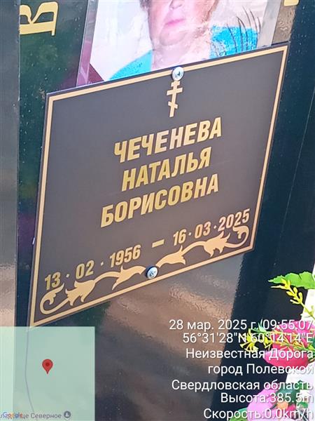 Чеченева Наталья Борисовна