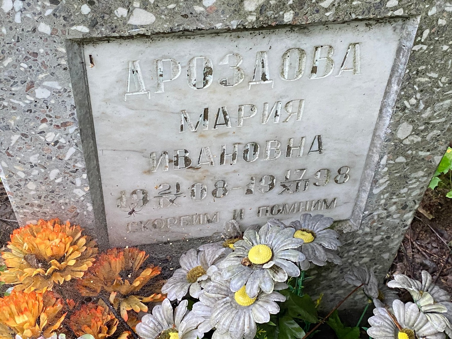 Дроздова