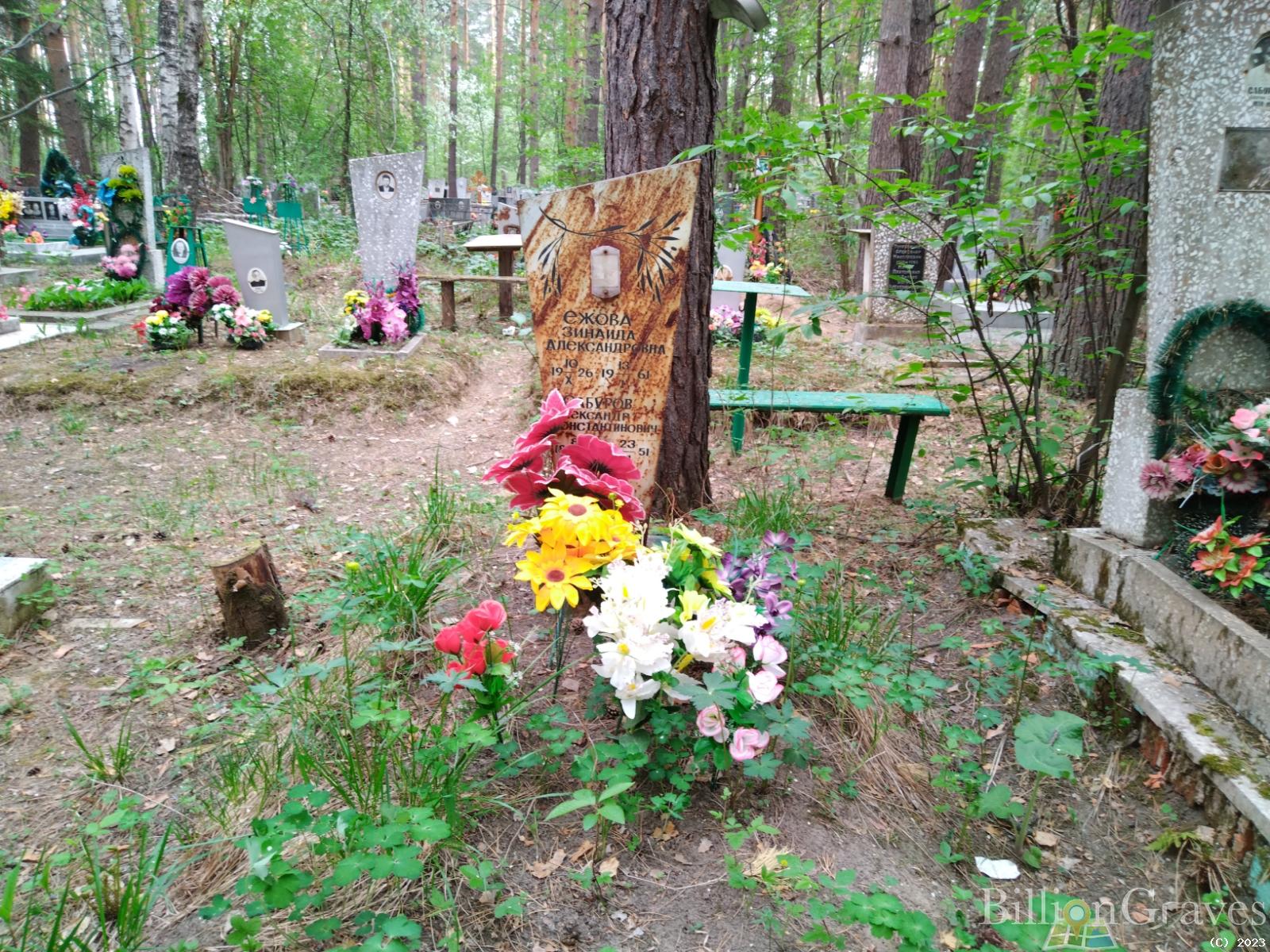Сабуров Александр Константинович