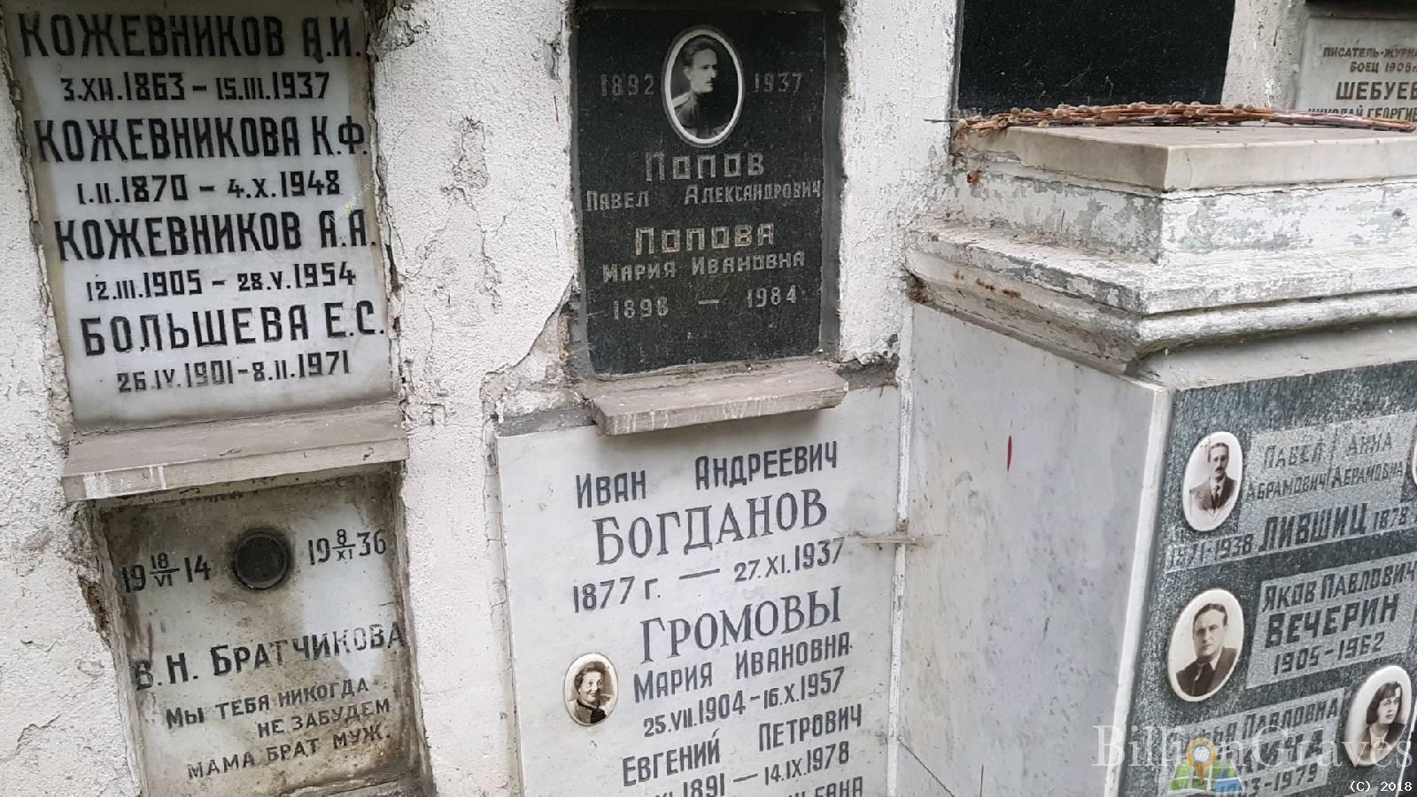 Братчикова В. Н.