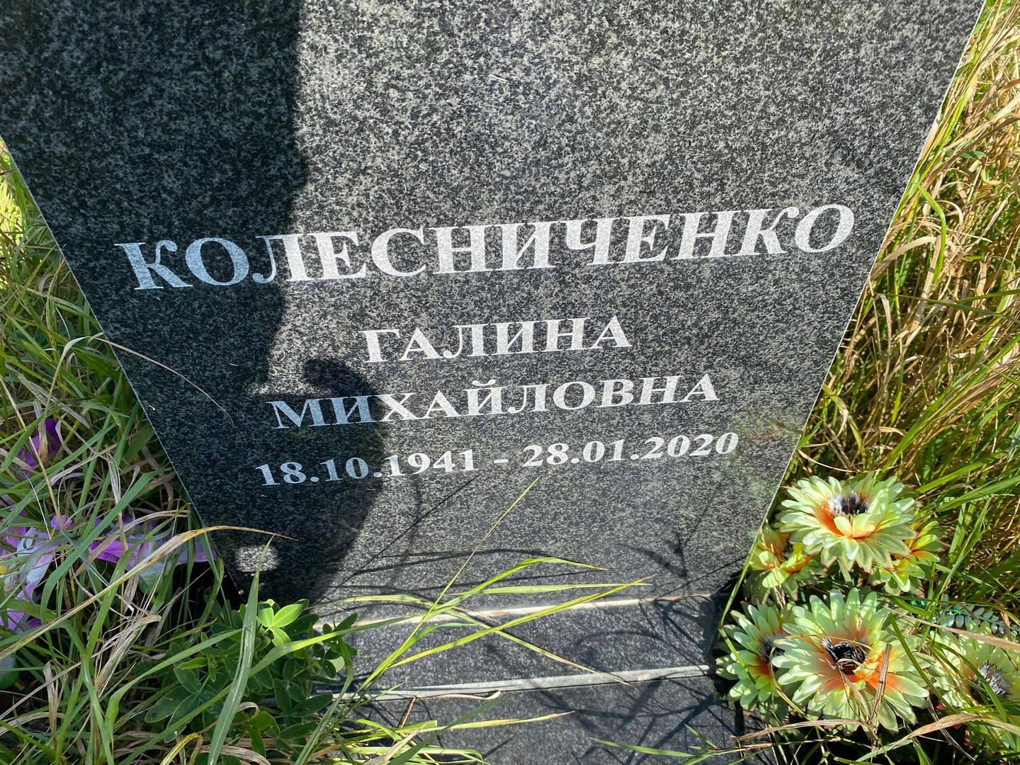 Колесниченко