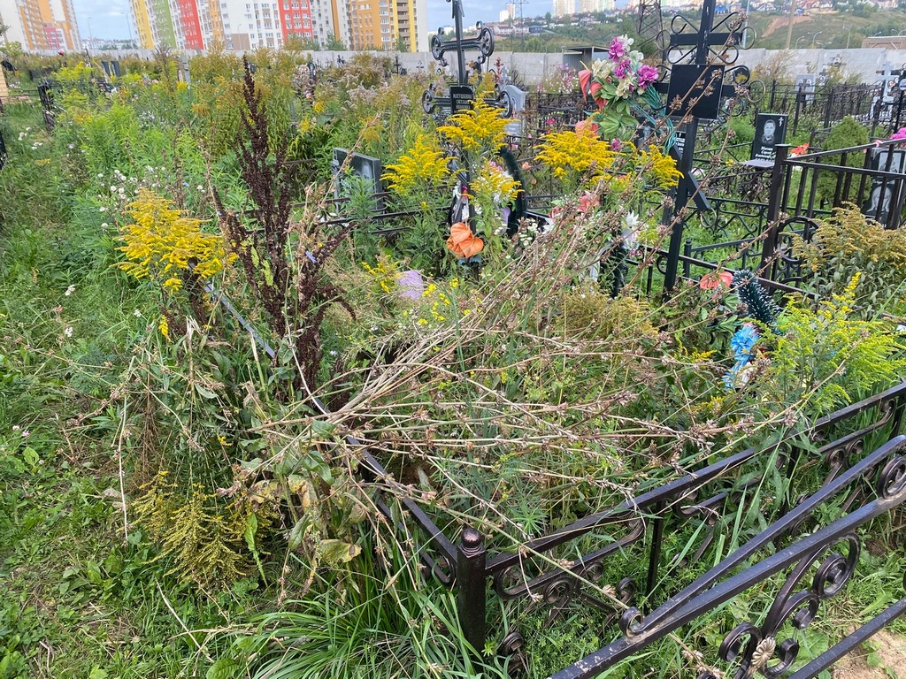 Матушкина Светлана Ивановна