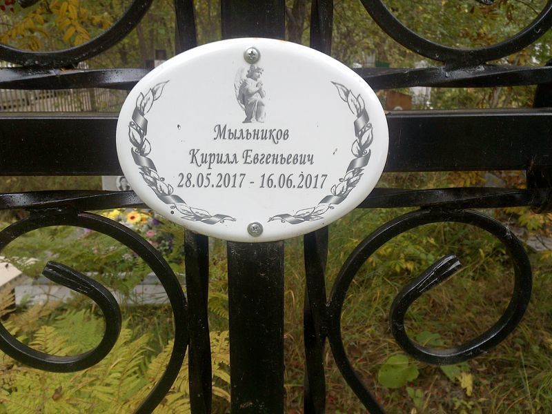 Мыльников