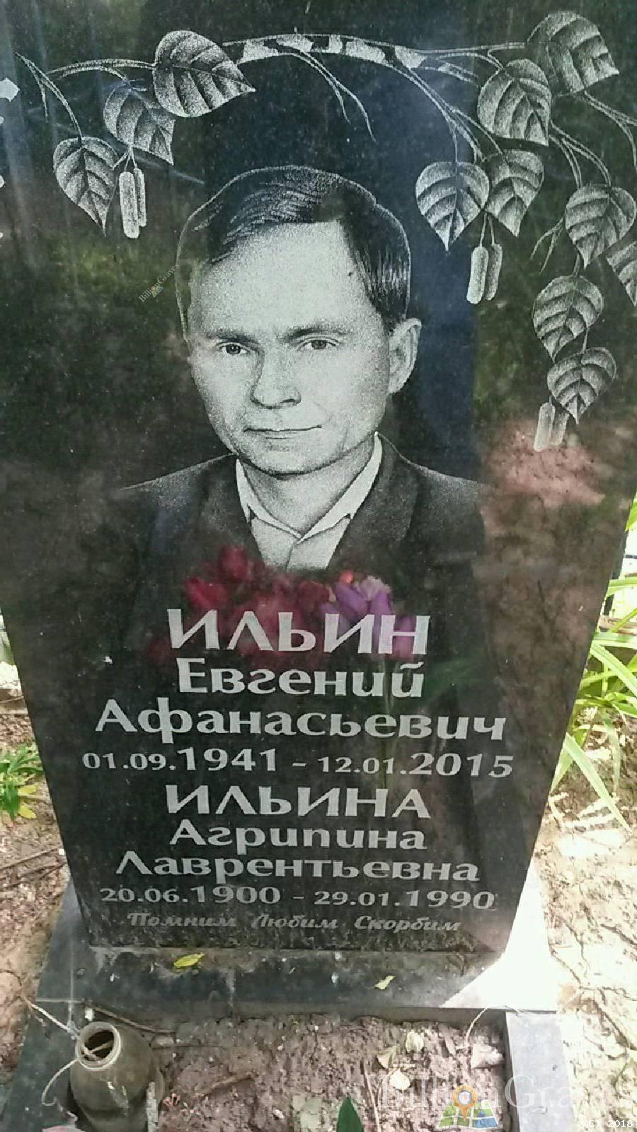 Ильина Янина Аполлоновна