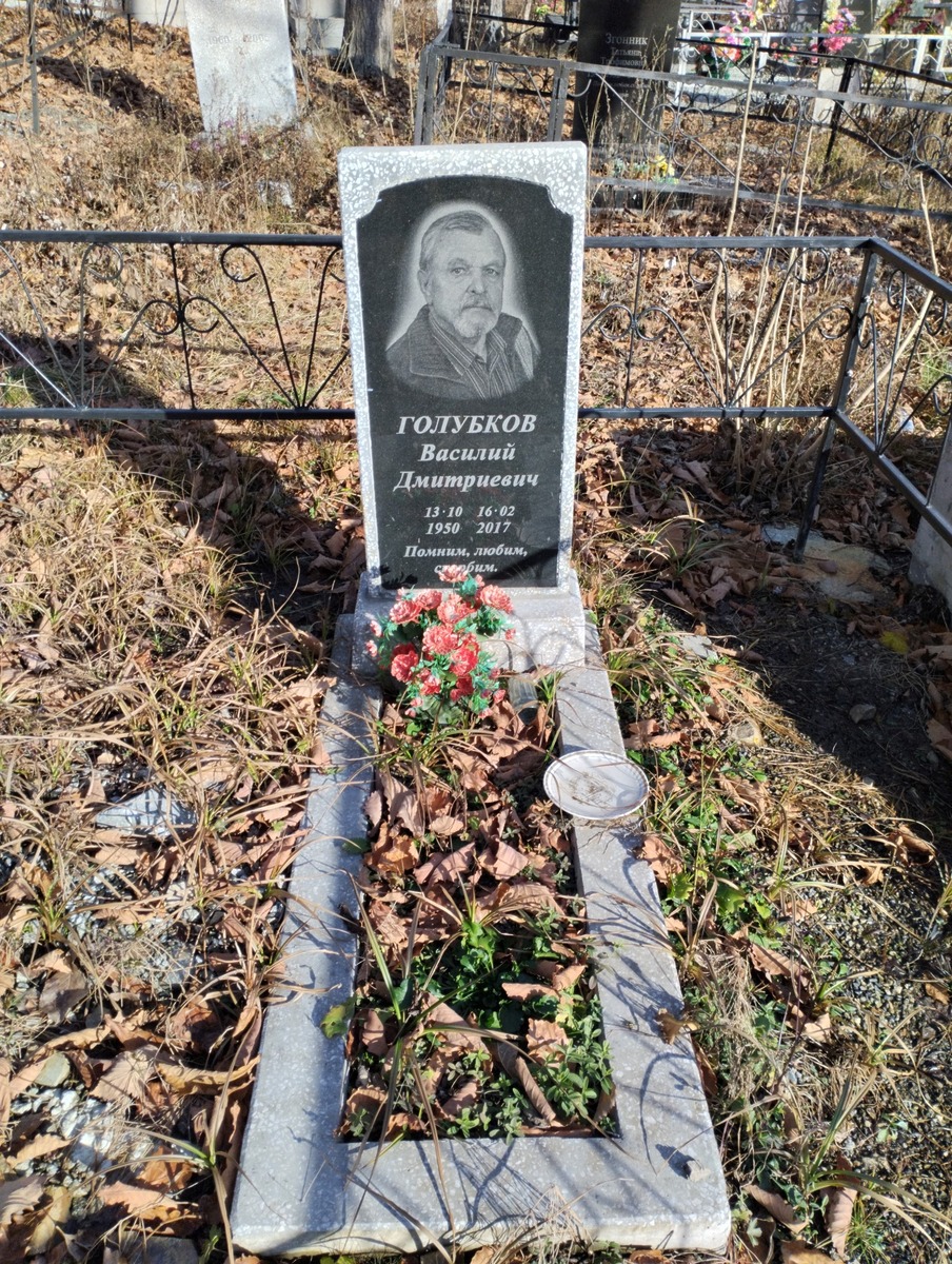 Голубков Василий Дмитриевич