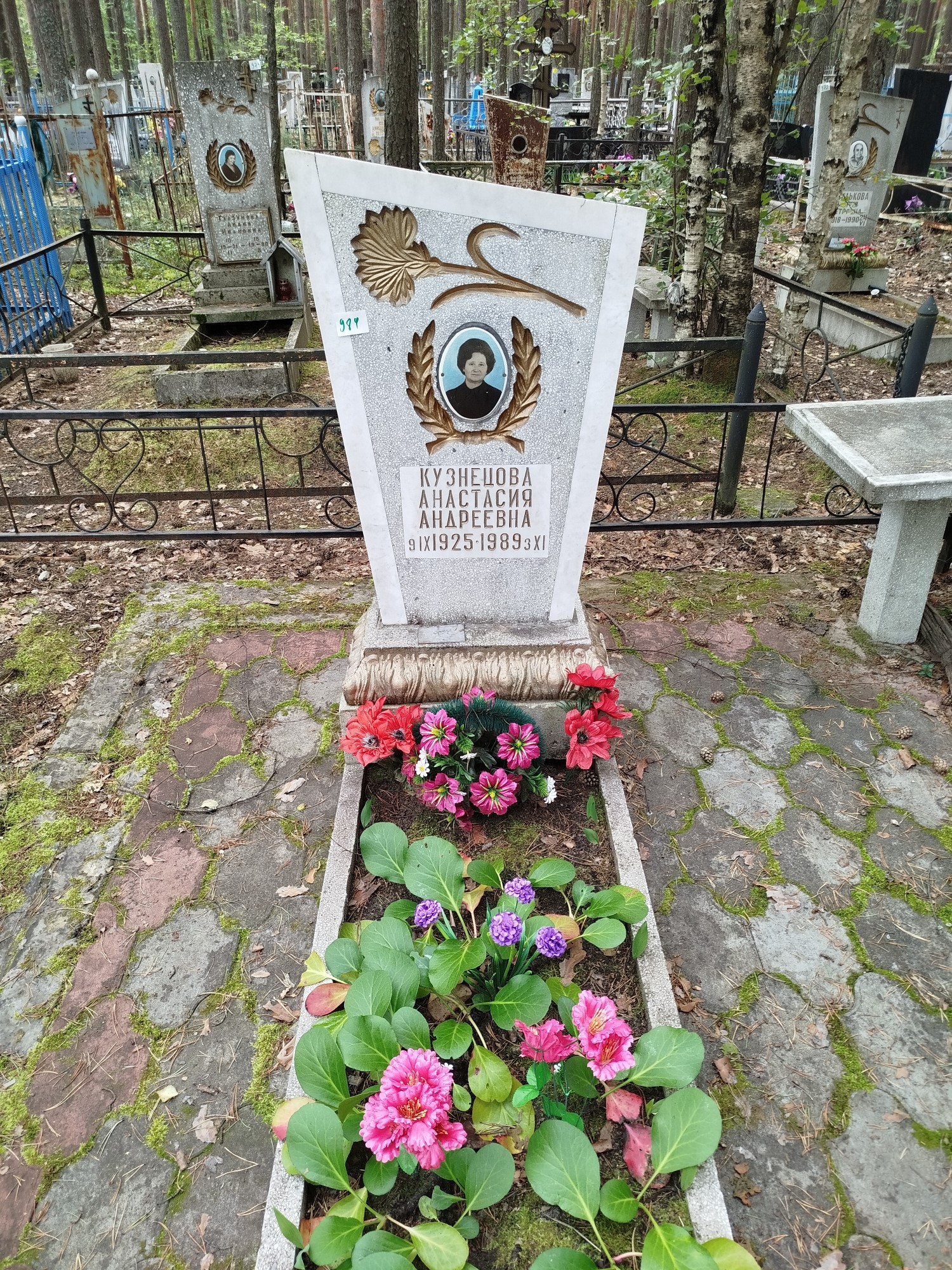 Кузнецова Анастасия Андреевна