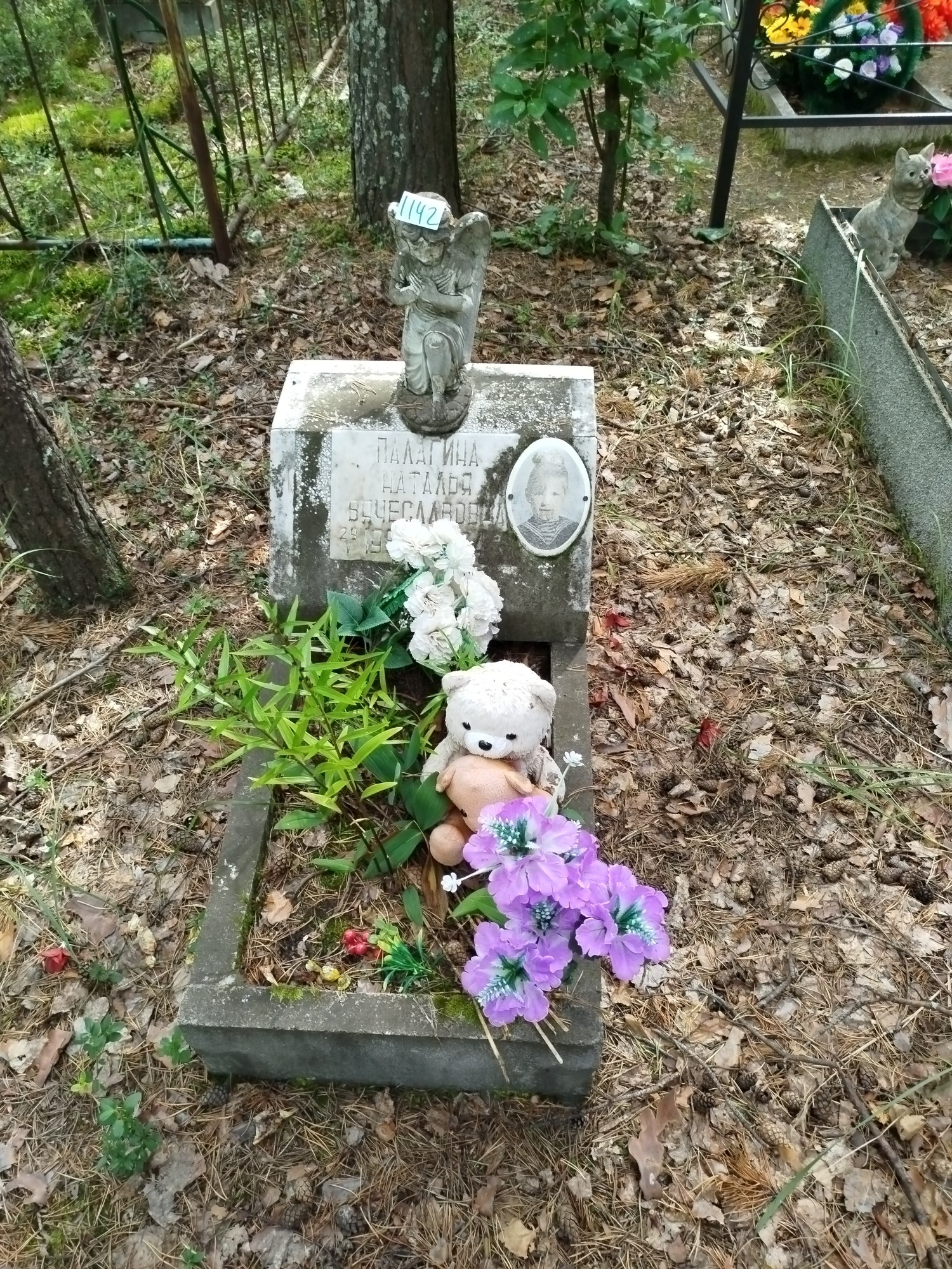 Палагина Наталья Вячеславовна