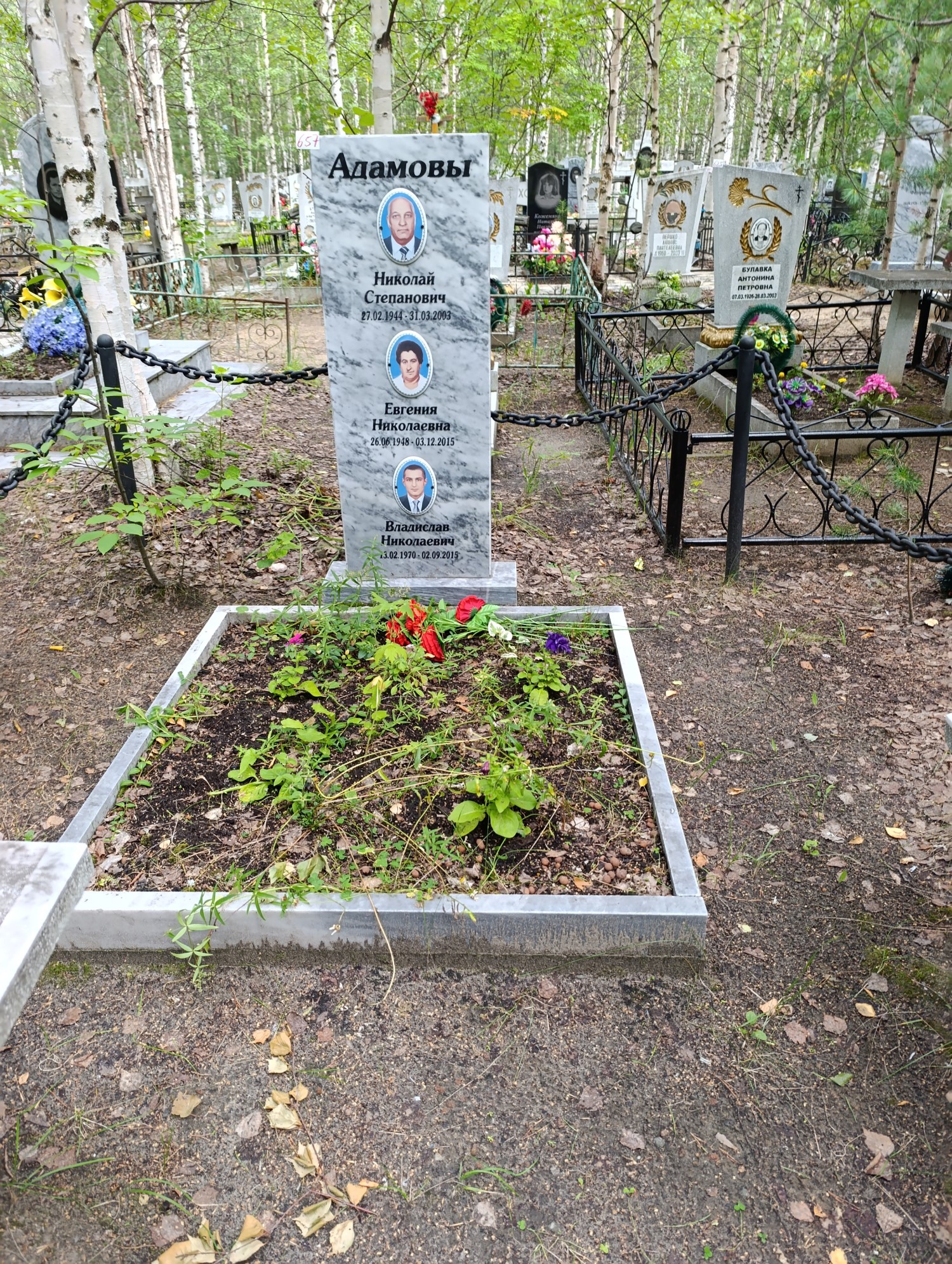 Адамов Владислав Николаевич