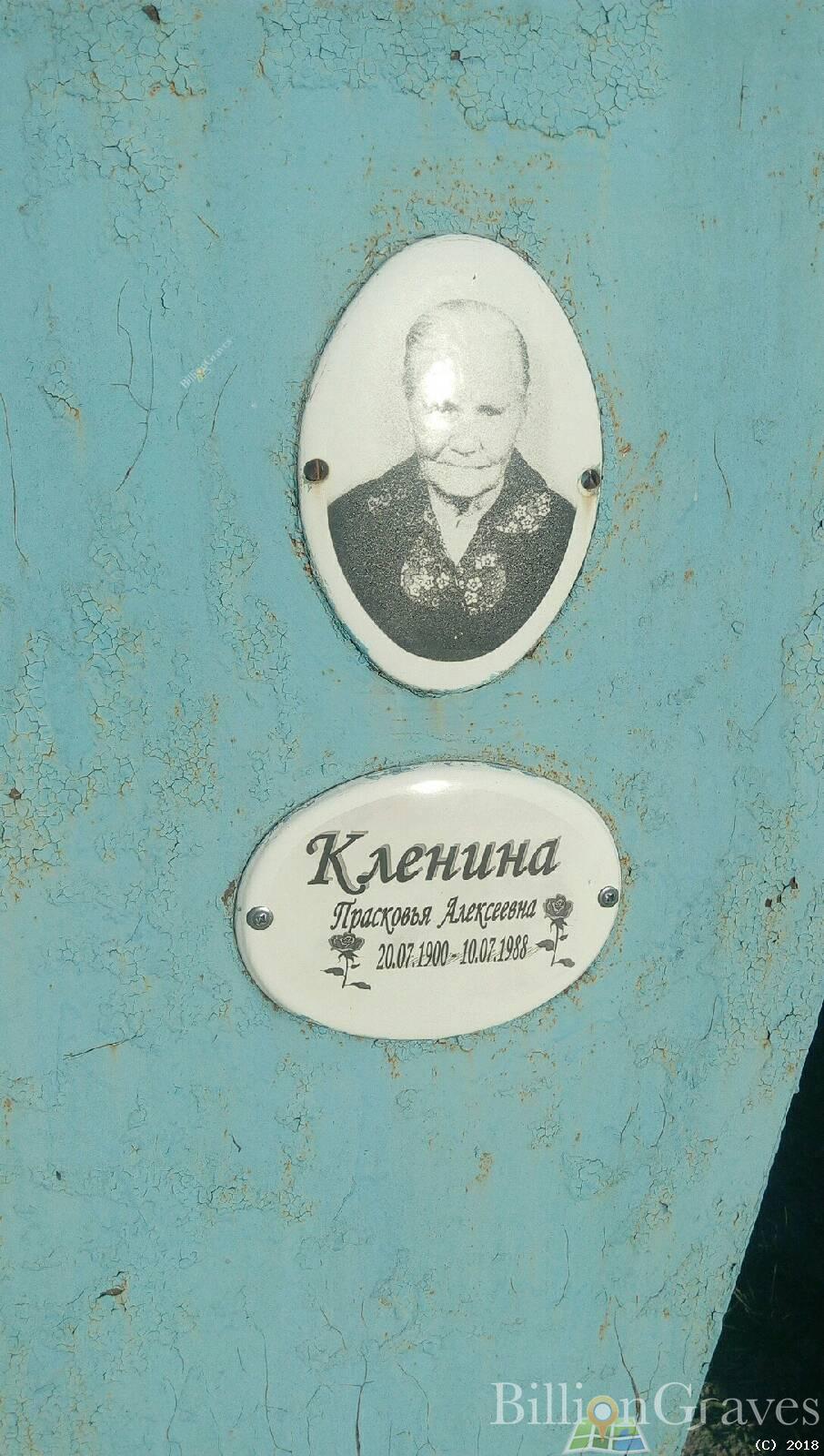 кленина прасковья алексеевна