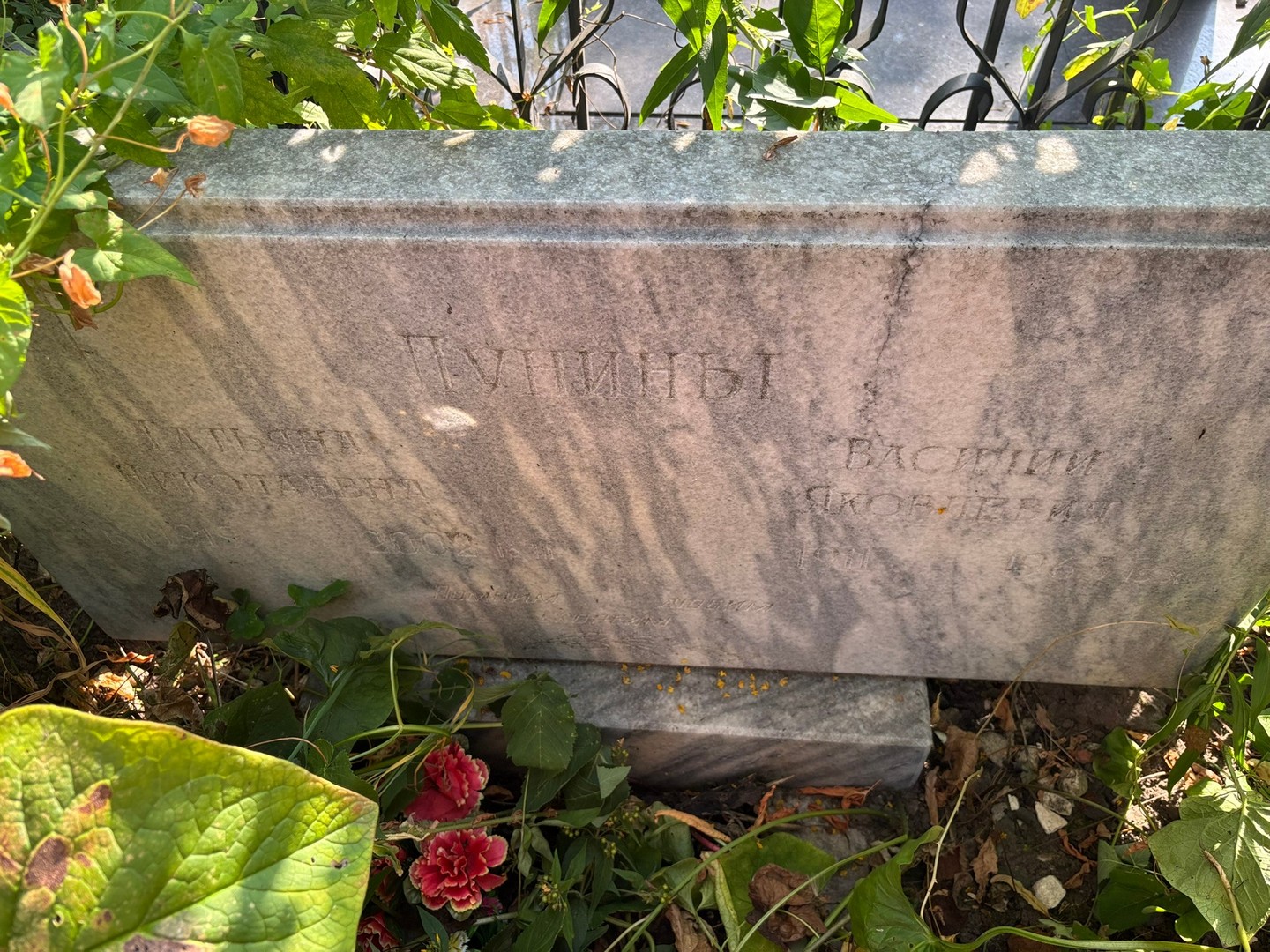 Лунина