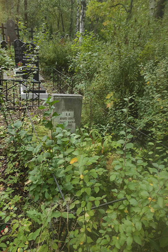 Волкова М. Н.