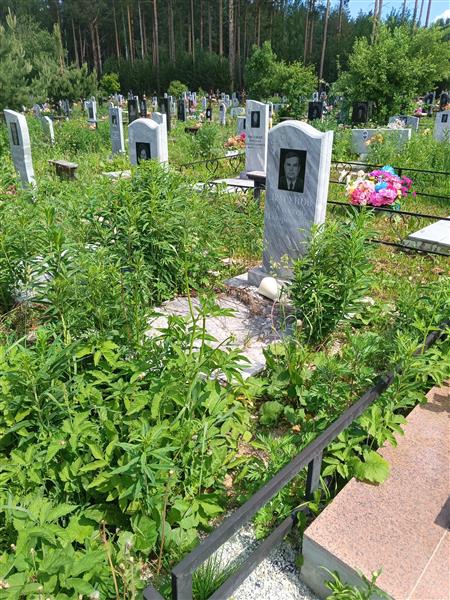 Драгунов Алексей Илларионович