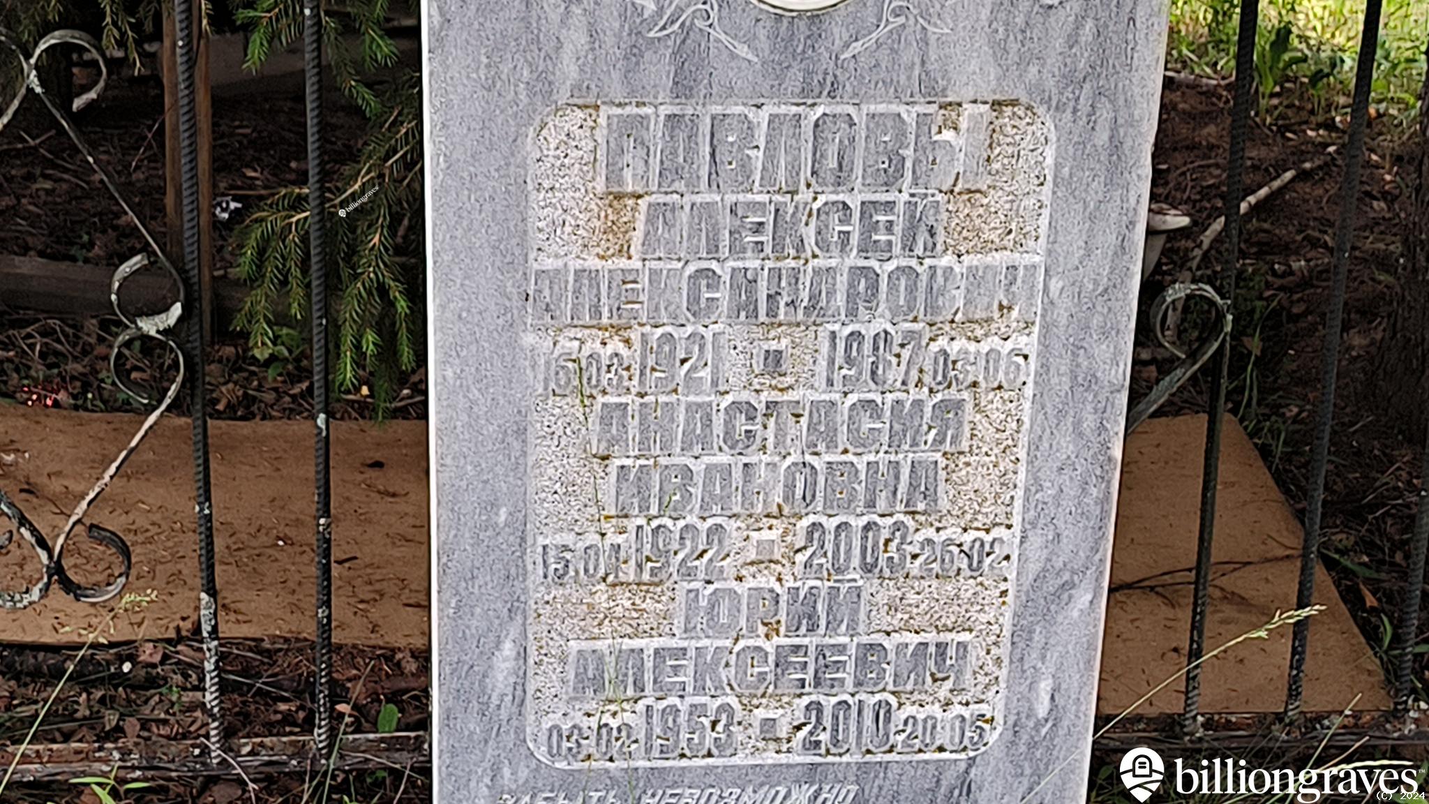 Павлова Анастасия Ивановна