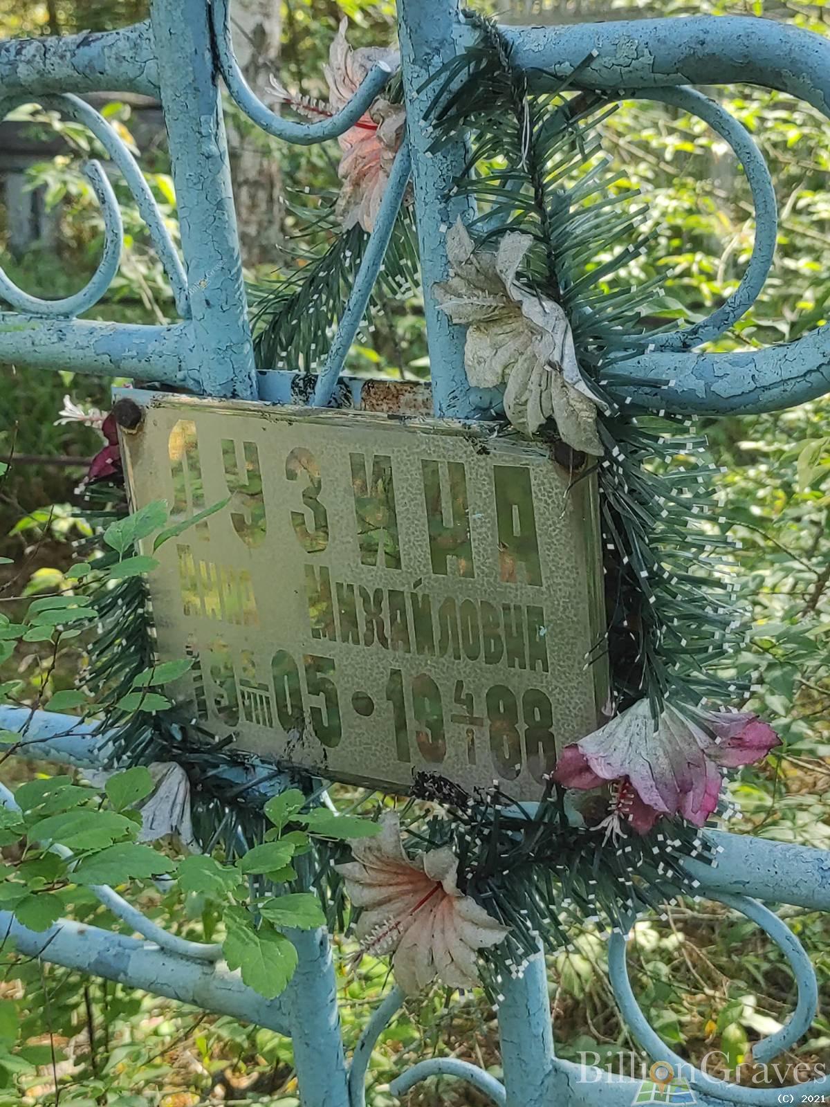 Лузина Анна Михайловна