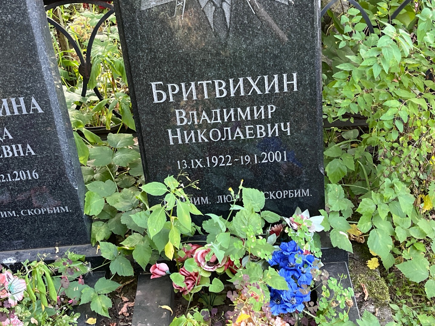Бритвихин