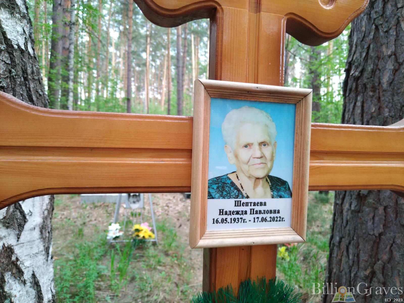 Шептаева Надежда Павловна