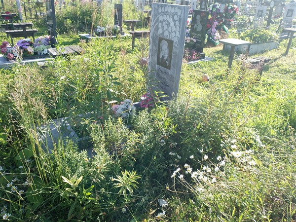 Сель Елена Сергеевна