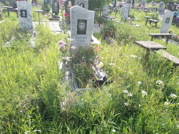 Баркая Гулико Самсонович