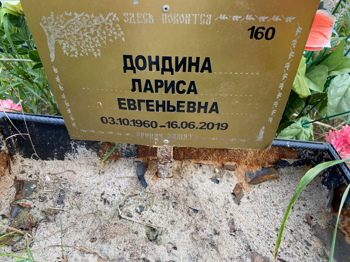 Дондина