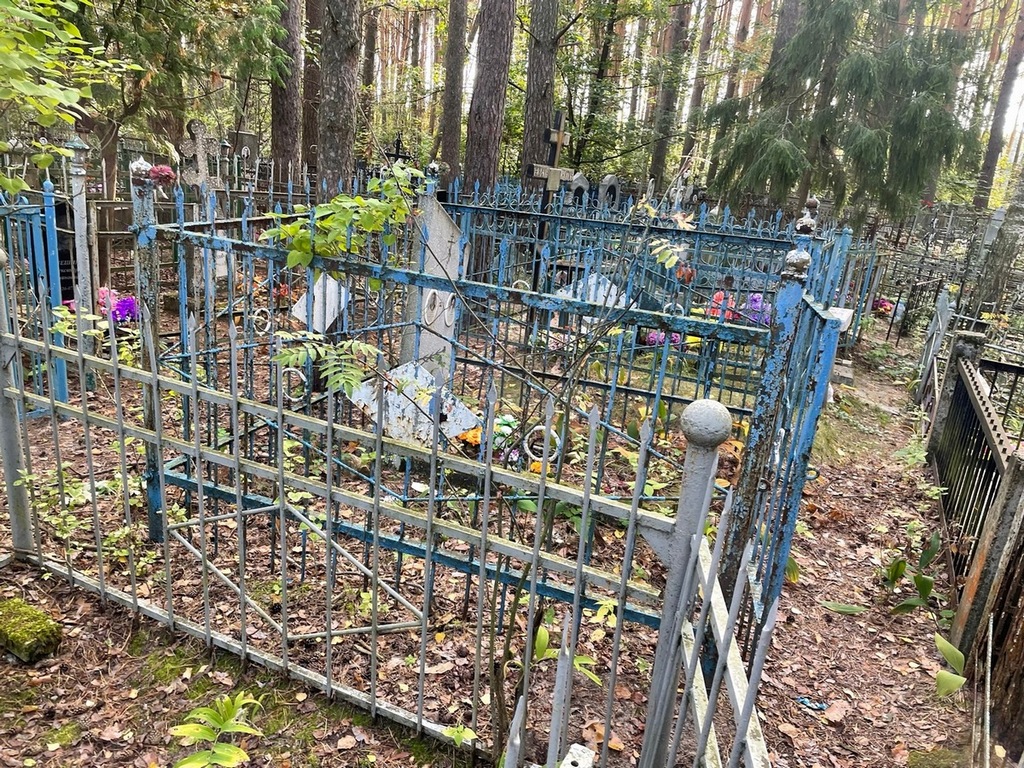 Савина Анна Сергеевна