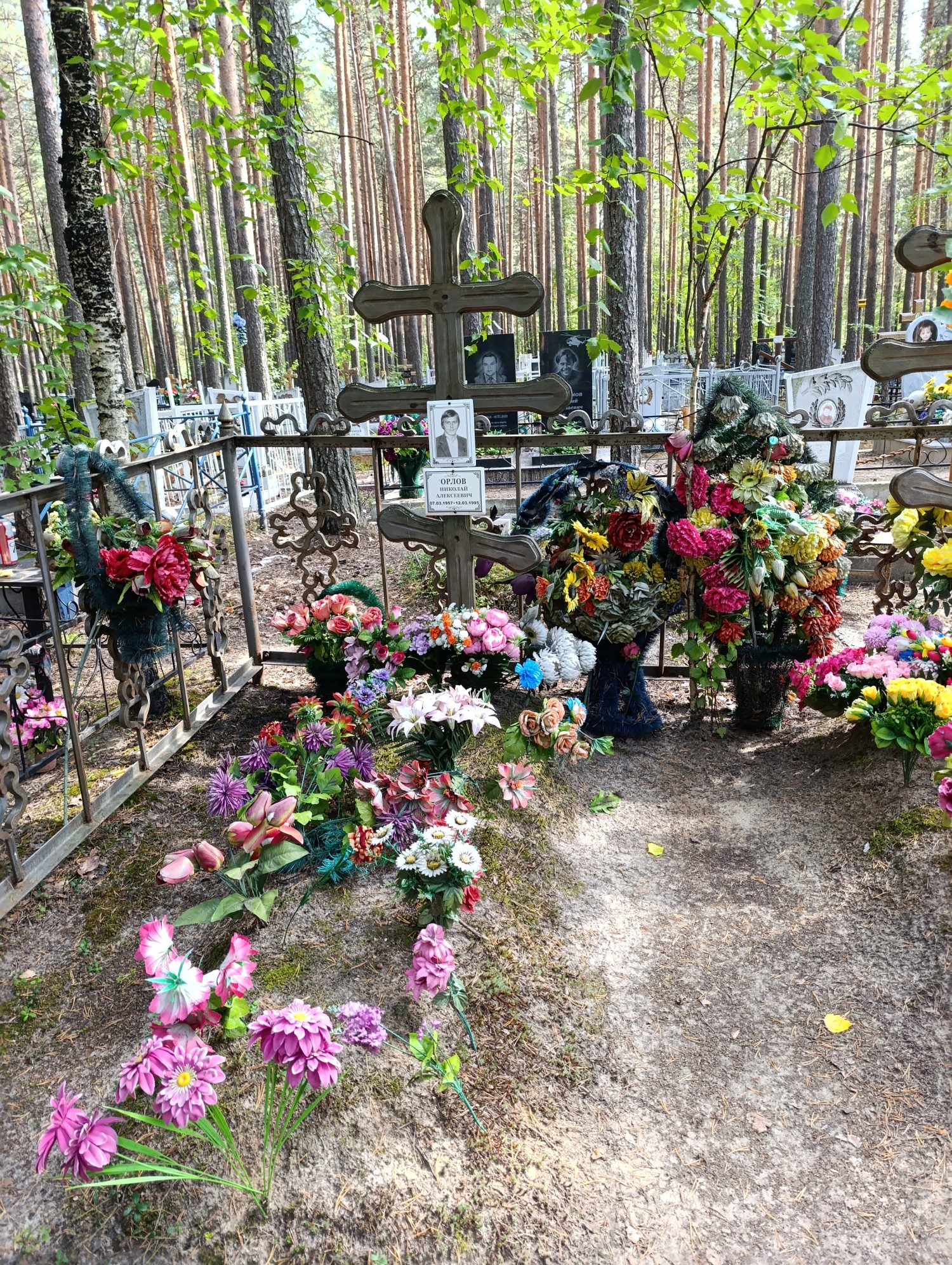 Орлов Николай Алексеевич