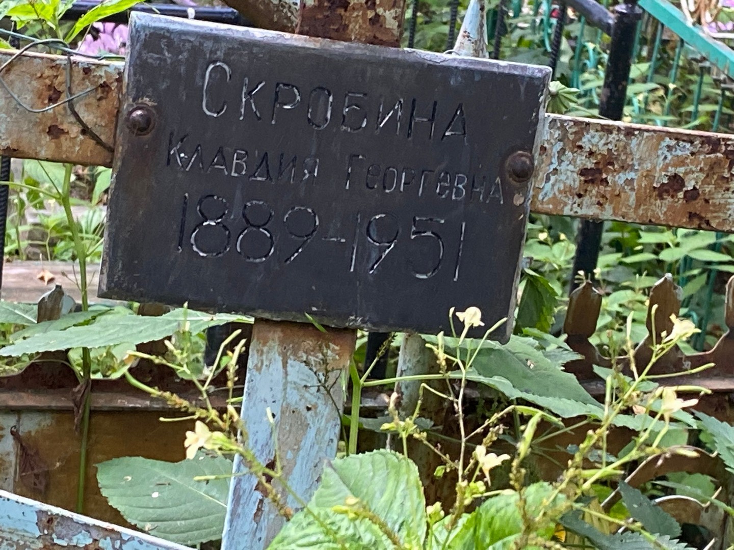 Скробина