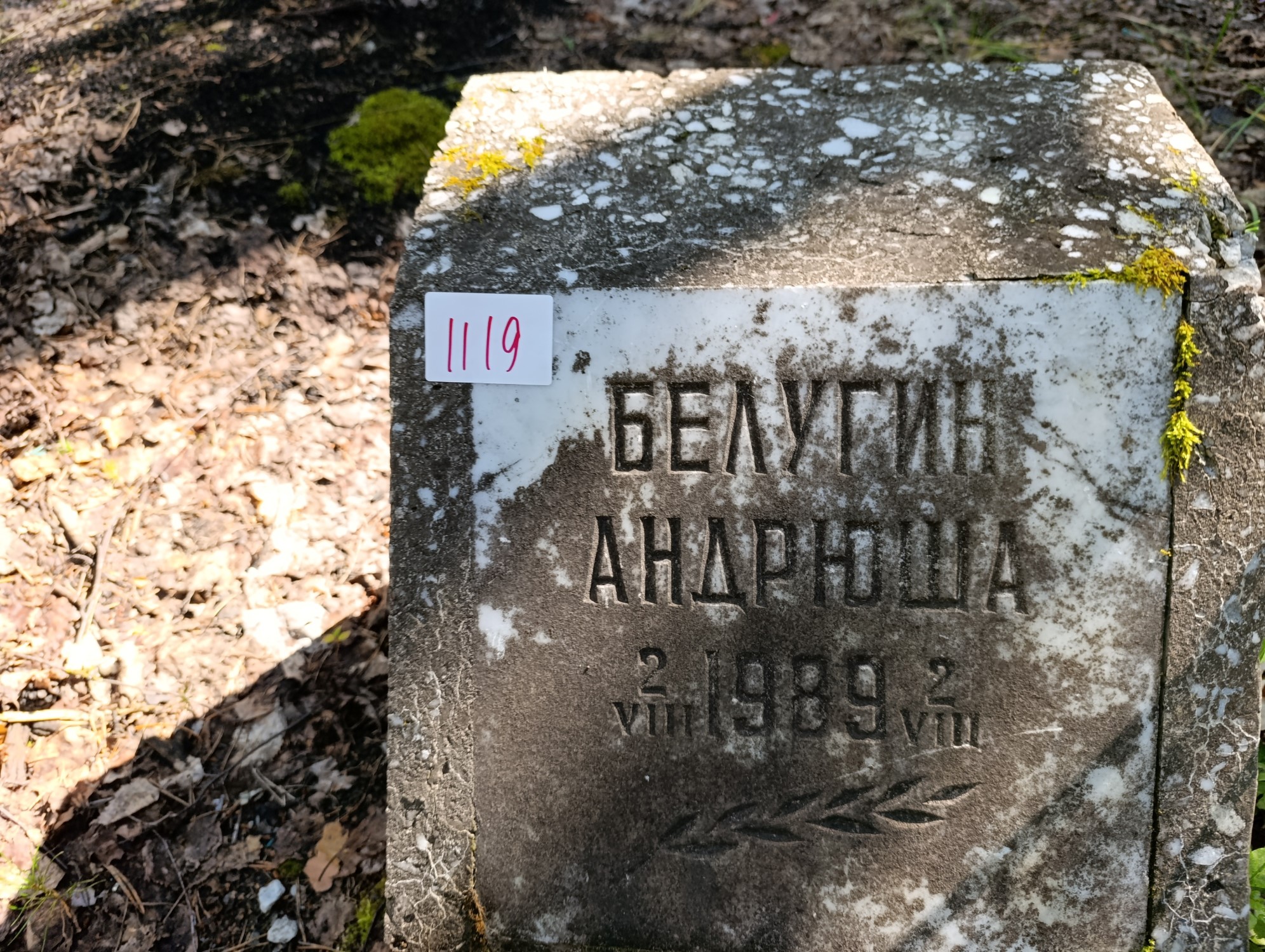 Белугин Андрей