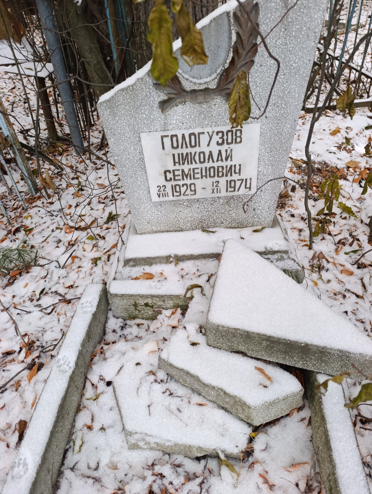 Гологузов Николай Семенович