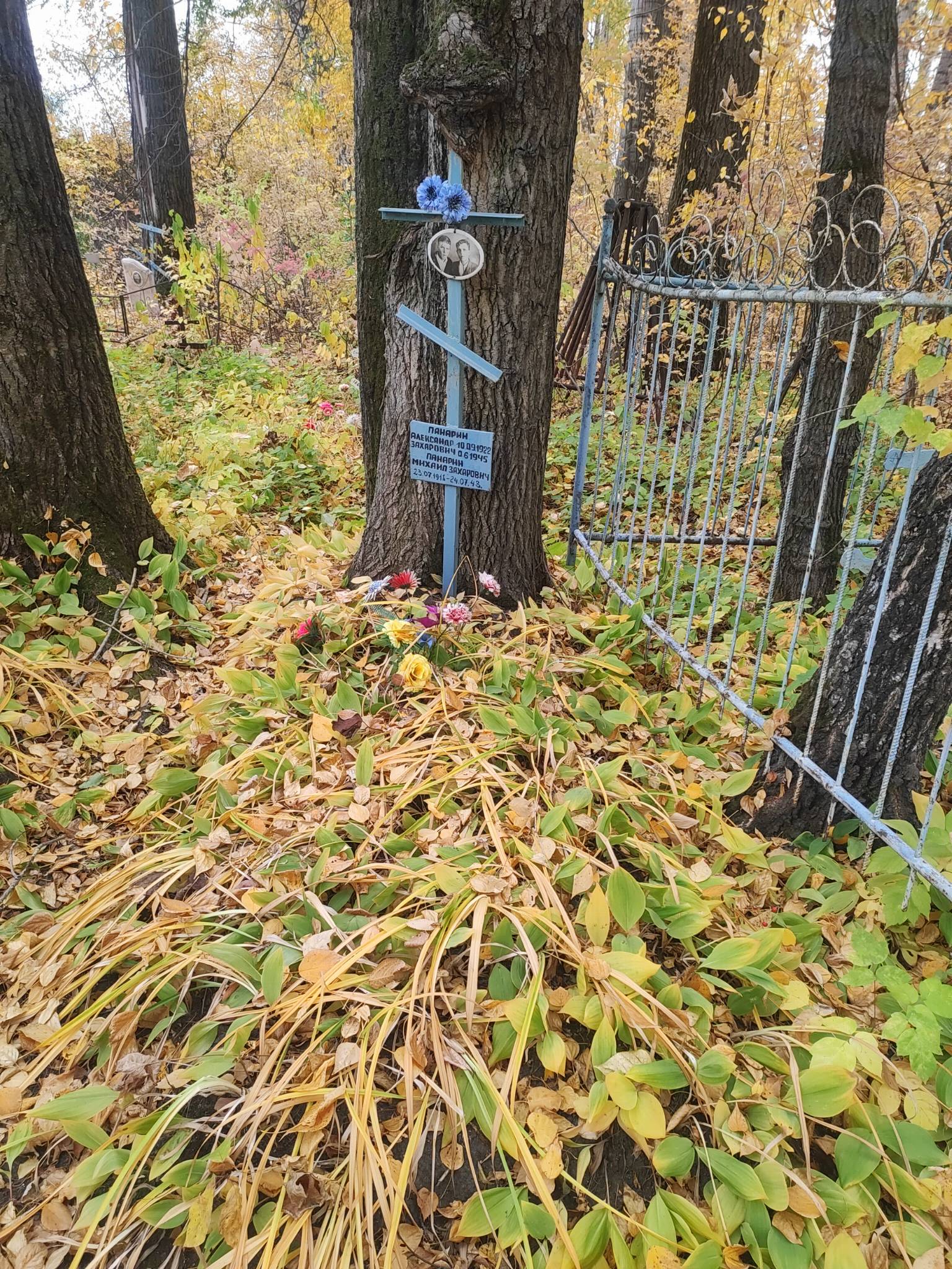 Панарин Александр Захарович