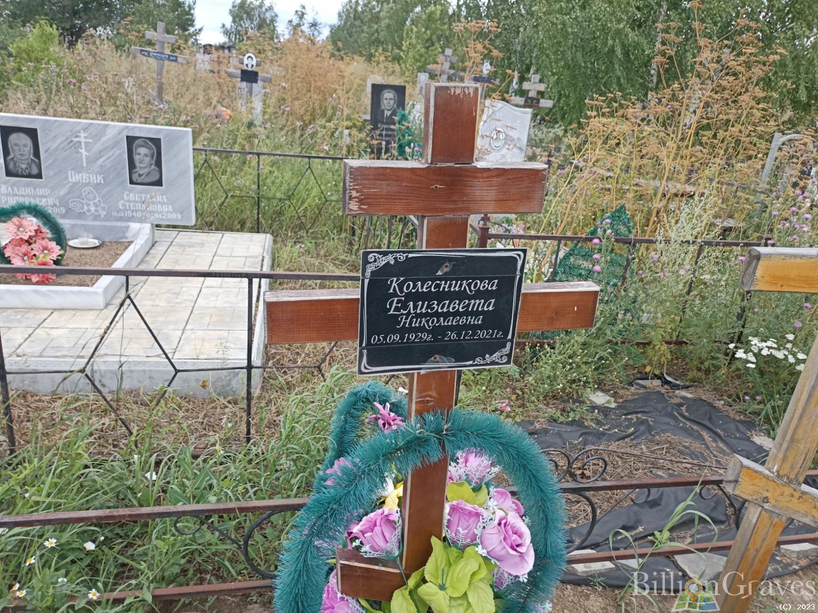 Колесникова Елизавета Николаевна