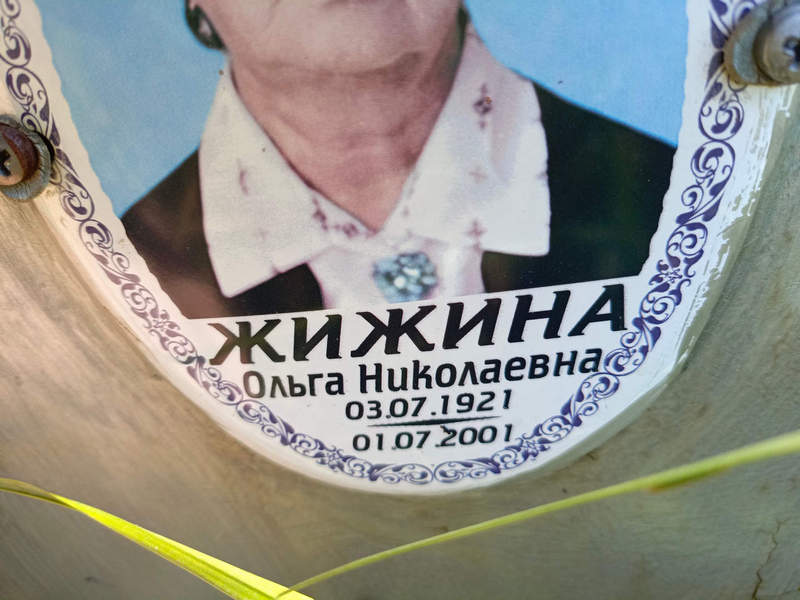 Жижина