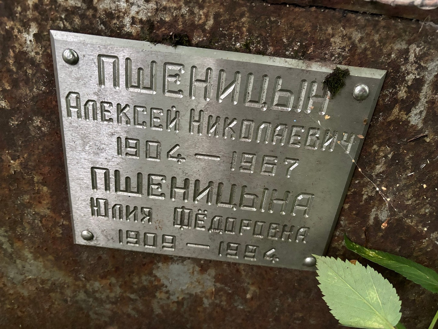 Пшеницын