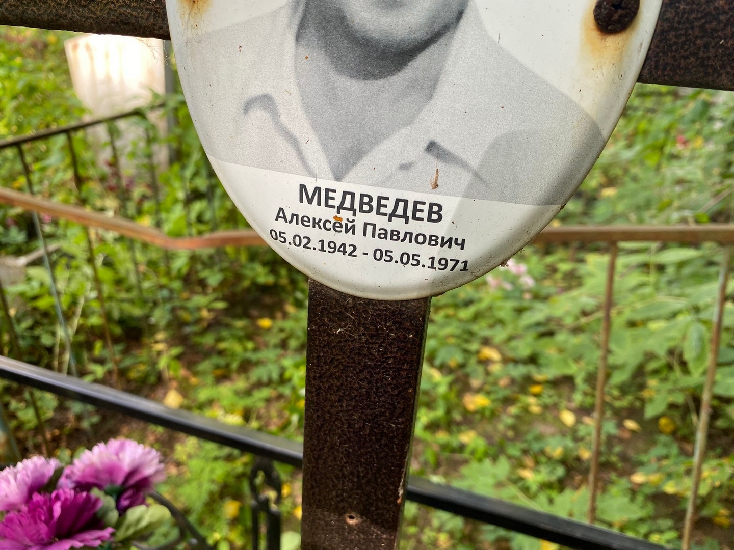 Медведев