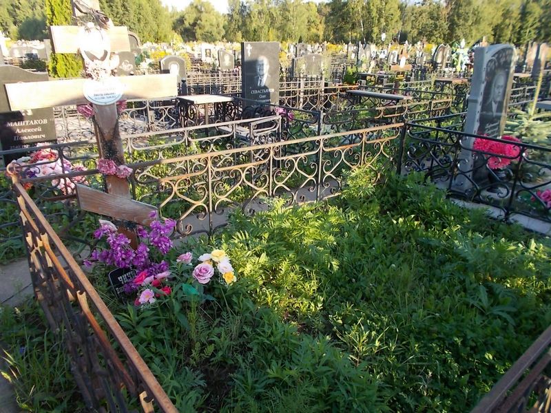 Чичикин Виктор Павлович